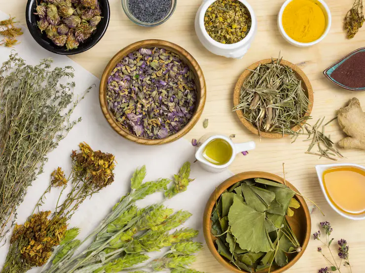 natural-medicinal-herbs