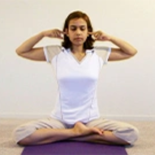 bhramari pranayama images